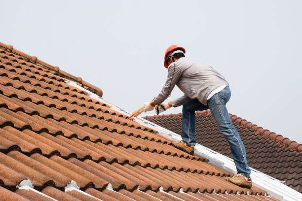 Fast & Reliable Emergency Roof Repairs in Lauderdale Lakes, FL